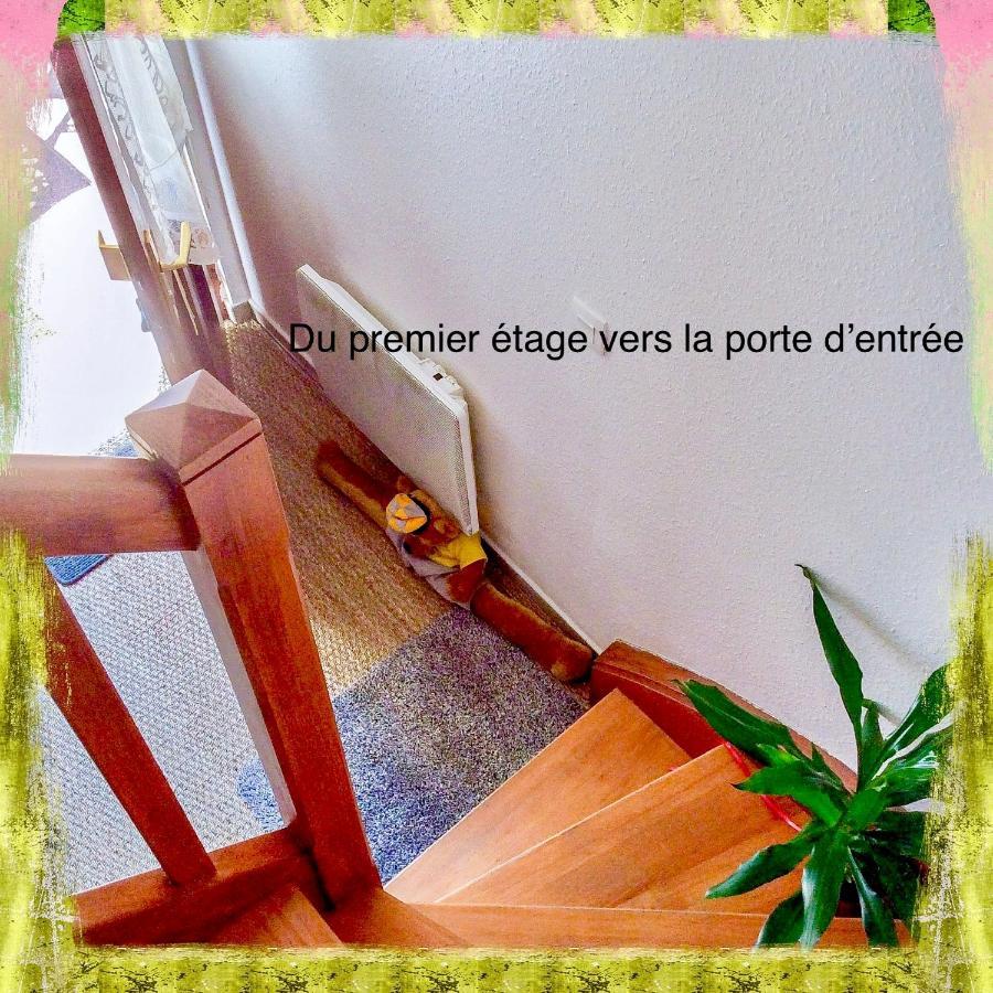 Residence Des Lentilles Schiltigheim Luaran gambar